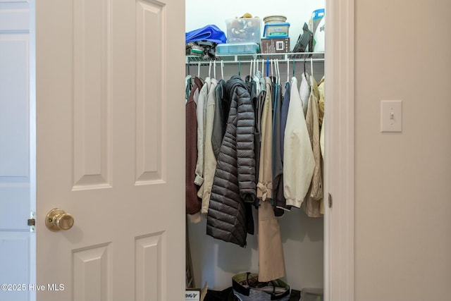 view of closet