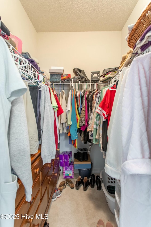 spacious closet with carpet floors