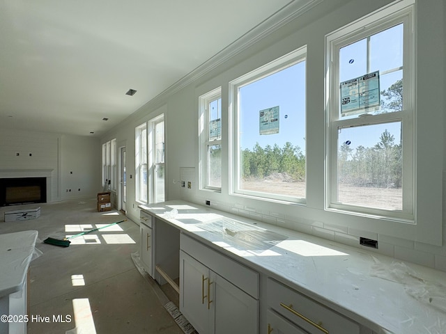 bathroom featuring ornamental molding and a fireplace