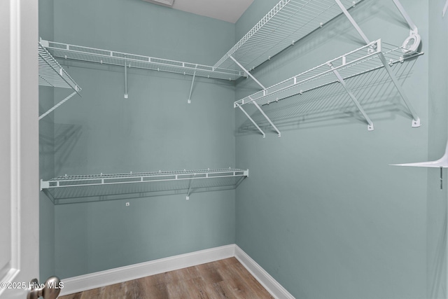 1036 Tideline Dr, Leland, NC 28451 - walk in closet with wood finished floors