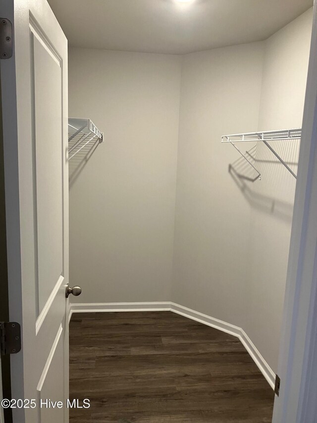 walk in closet with dark wood-style flooring