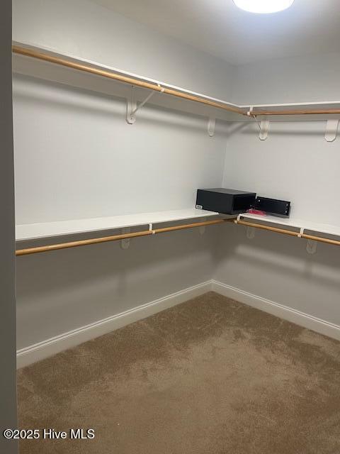 spacious closet with dark colored carpet