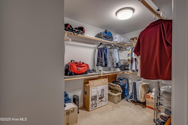 walk in closet with carpet