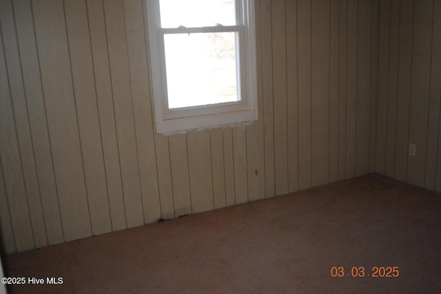 carpeted spare room with wood walls