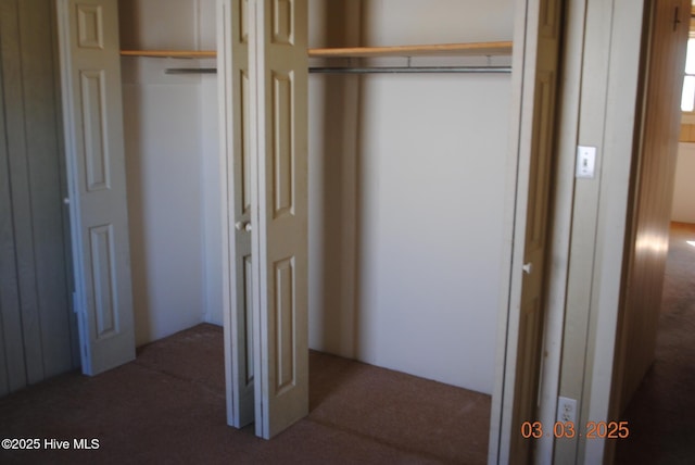 view of closet