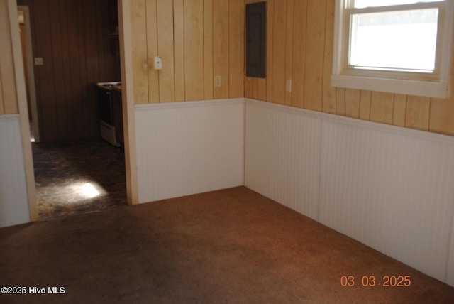 spare room featuring carpet flooring and electric panel