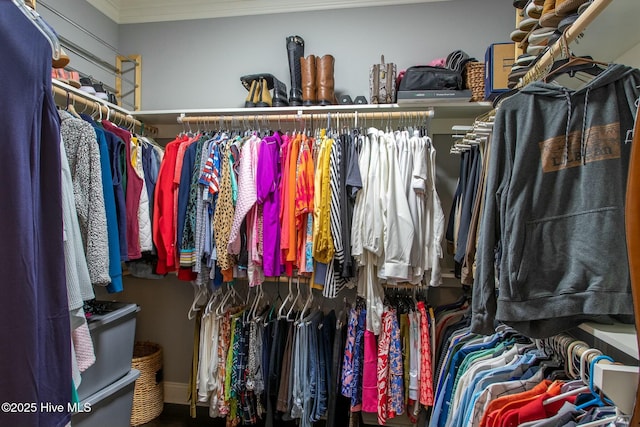 view of walk in closet