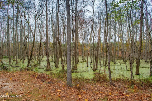 view of nature with a forest view