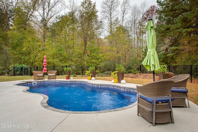 view of pool with a fenced backyard, a fenced in pool, and a patio