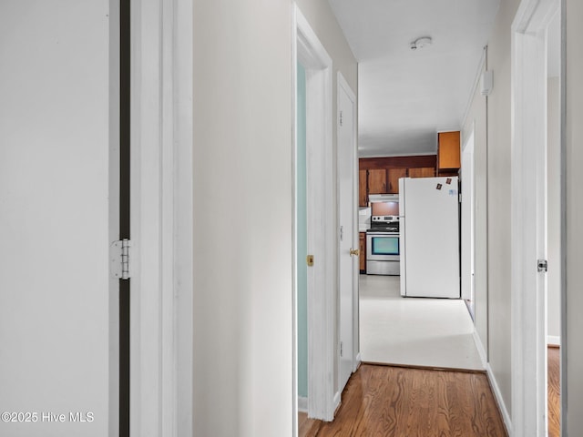 hallway featuring light wood-style floors