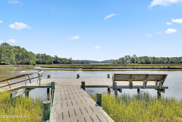 view of dock with a water view