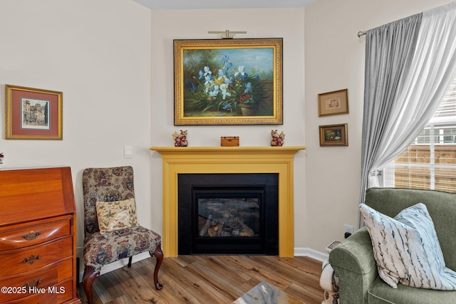 400 Frida Rd, New Bern, NC 28560 - living area with wood finished floors, a glass covered fireplace, and baseboards