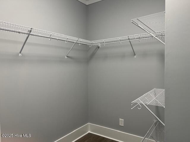 walk in closet with dark wood-style flooring