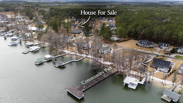 aerial view with a water view and a view of trees