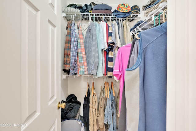 view of walk in closet