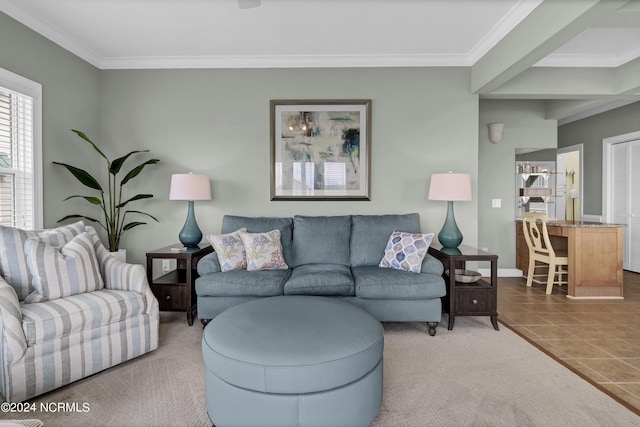 tiled living area with ornamental molding