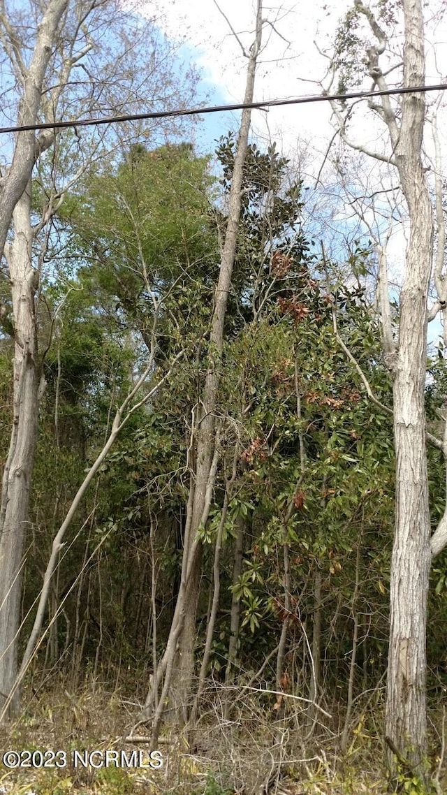 00 Pennsylvania Ave, Rocky Point, NC 28457