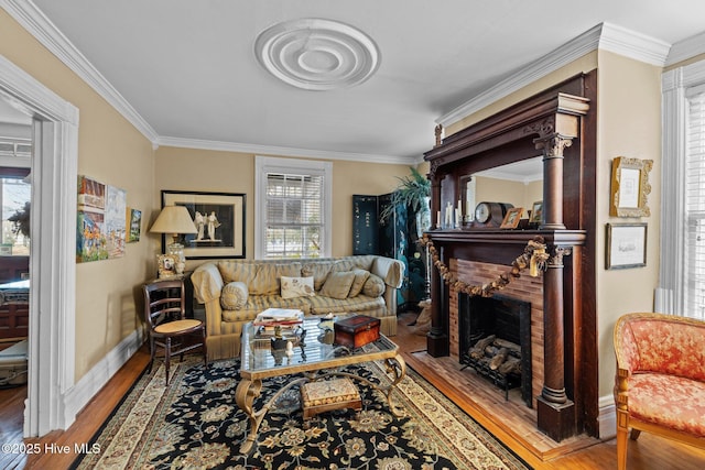 living room featuring a fireplace, crown molding, baseboards, and wood finished floors