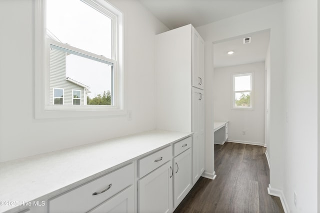 bathroom featuring visible vents, baseboards, and wood finished floors