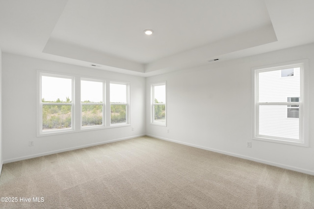 unfurnished room with baseboards, a raised ceiling, and light colored carpet