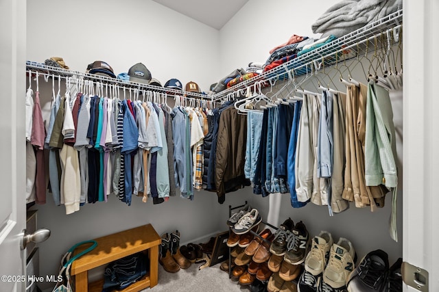 1507 Caracara Dr, New Bern, NC 28560 - walk in closet with carpet floors