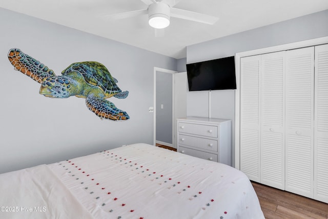 bedroom with ceiling fan, a closet, and wood finished floors