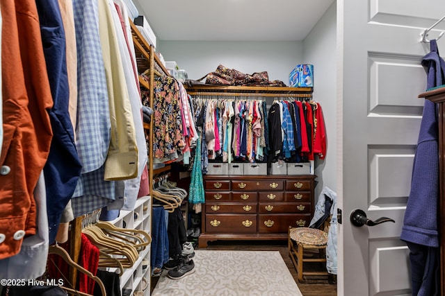 walk in closet featuring wood finished floors