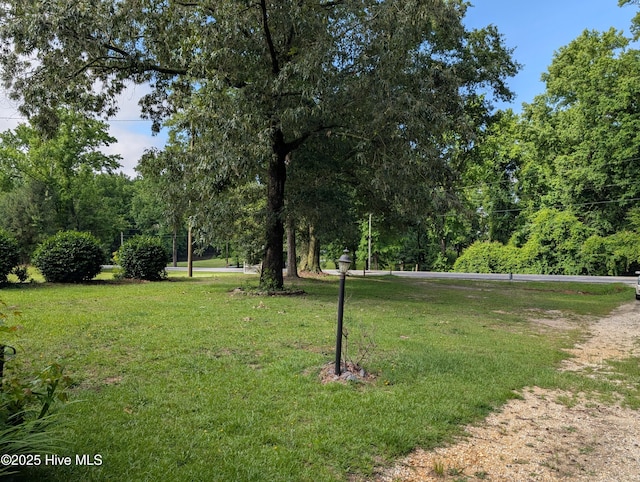 13596 Hobbton Hwy, Newton Grove, NC 28366 - view of home's community with a lawn