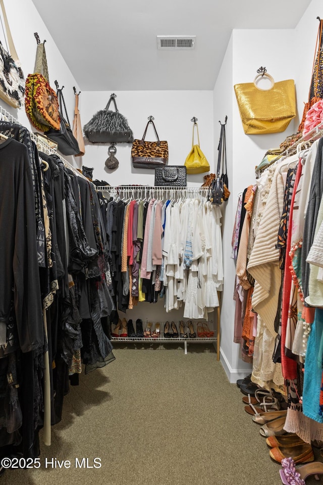 walk in closet featuring visible vents and carpet floors