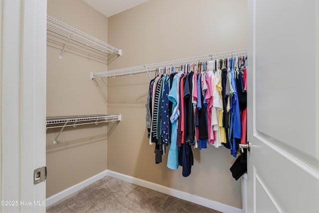 walk in closet with carpet