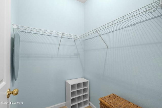 view of spacious closet