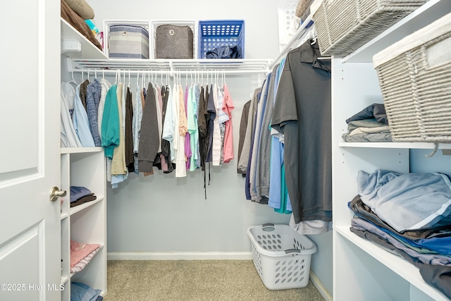 walk in closet with carpet floors