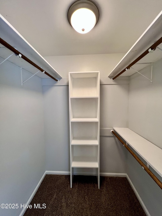 walk in closet featuring carpet floors