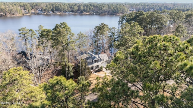 drone / aerial view featuring a forest view and a water view