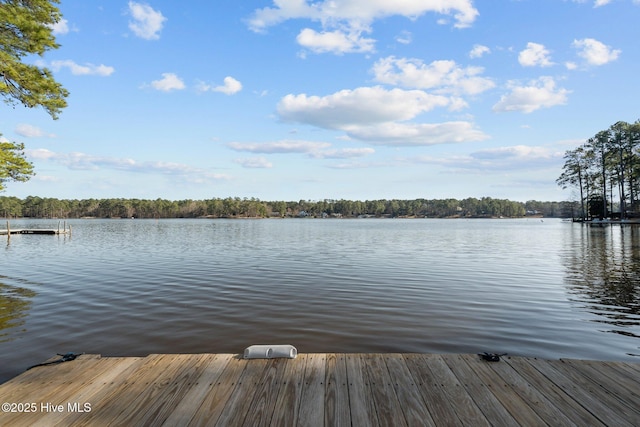 view of dock featuring a water view and a view of trees