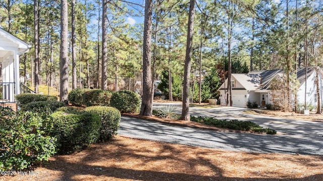 view of yard with driveway