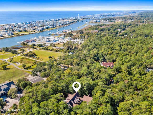 aerial view with a water view