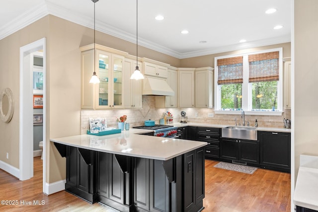 kitchen with ornamental molding, a peninsula, custom exhaust hood, dark cabinets, and stainless steel gas range