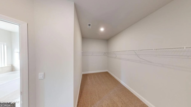 spacious closet featuring light carpet and visible vents