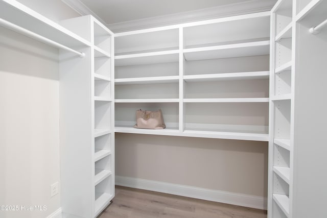 walk in closet featuring wood finished floors