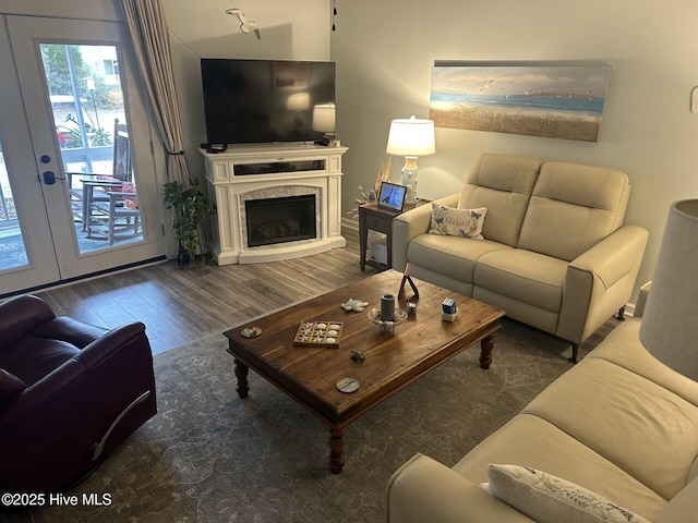 living room with a premium fireplace and wood finished floors