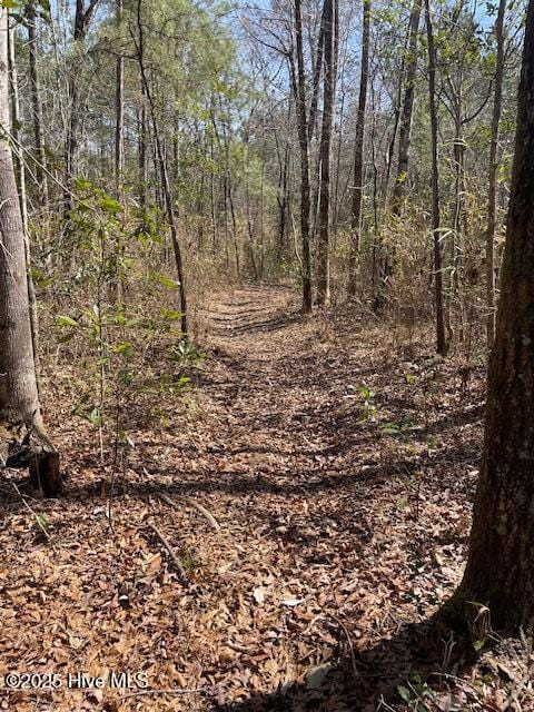 Listing photo 3 for 0 Cypress Creek Rd, Maple Hill NC 28454