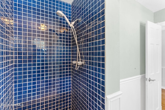 full bathroom featuring wainscoting and tiled shower