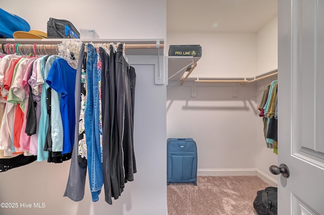 spacious closet with carpet floors