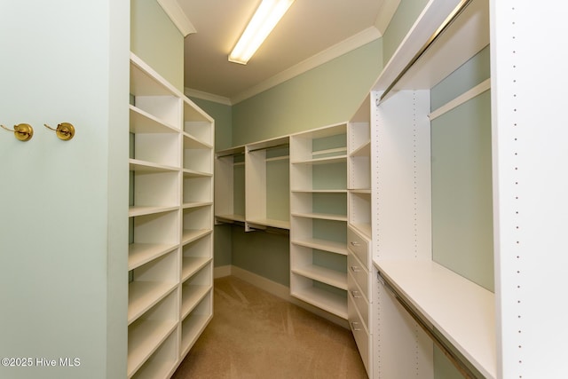 spacious closet with light carpet