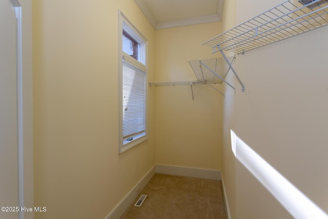 spacious closet with light colored carpet and visible vents