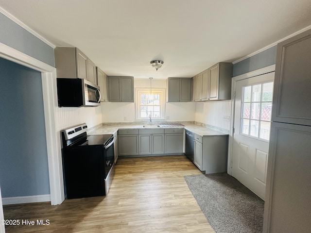 kitchen featuring light wood-style flooring, gray cabinetry, stainless steel appliances, and a sink