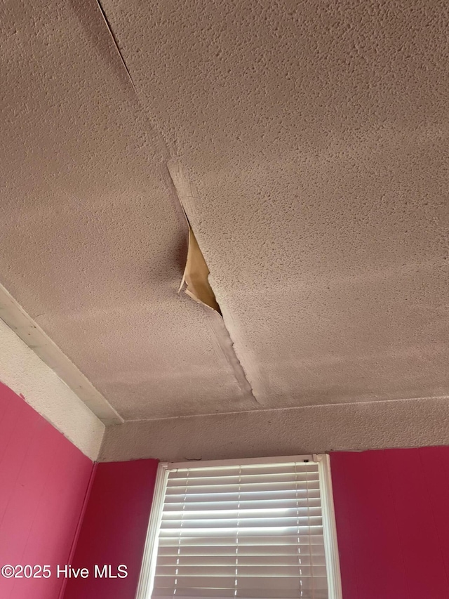 interior details featuring a textured ceiling