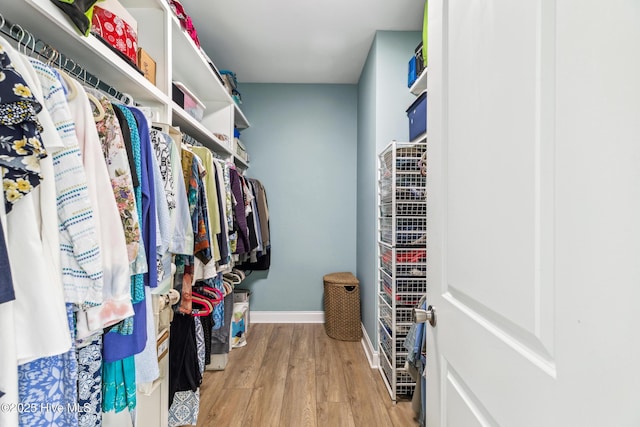 walk in closet featuring light wood finished floors