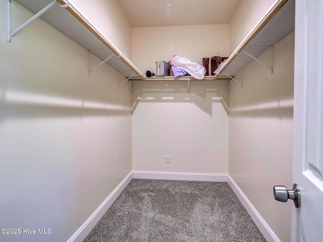 spacious closet with carpet